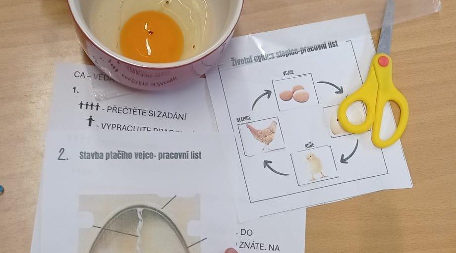 Centra aktivit - 1. třída Machnín - KUŘÁTKA