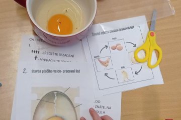 Centra aktivit - 1. třída Machnín - KUŘÁTKA