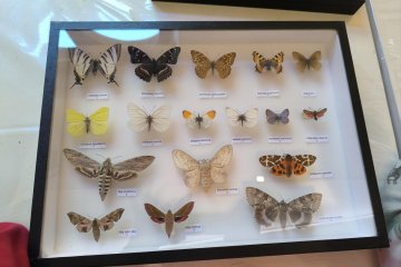 Severočeské muzeum Liberec