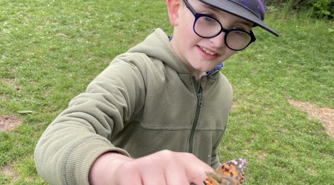 Motýlí dobrodružství ve třídě – Babočka bodláková v hlavní roli