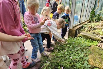 Botanická zahrada - program MASOŽRAVKY