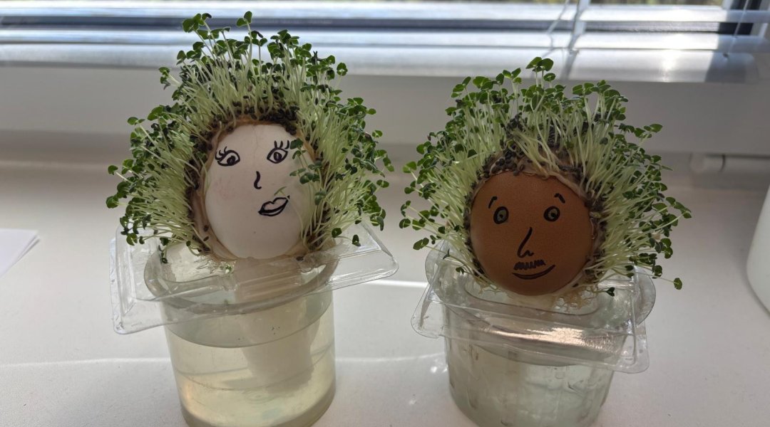 Jaro v modré třídě