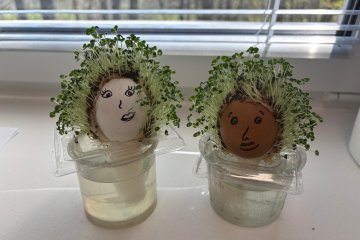 Jaro v modré třídě