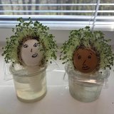 Jaro v modré třídě