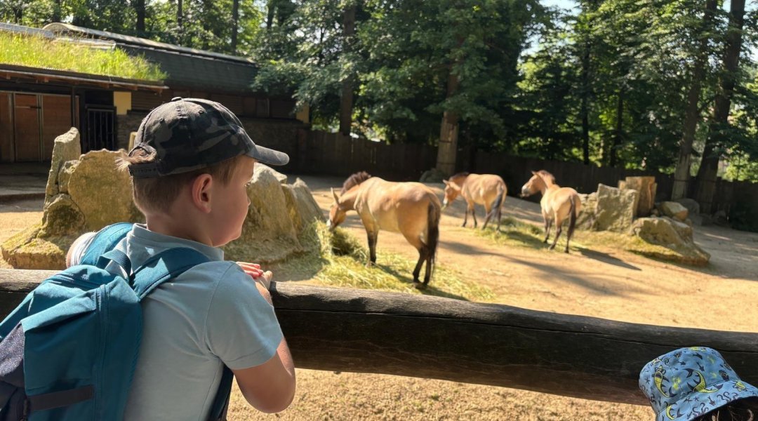 Návštěva ZOO Liberec
