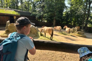 Návštěva ZOO Liberec
