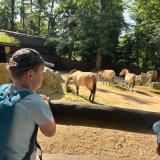 Návštěva ZOO Liberec