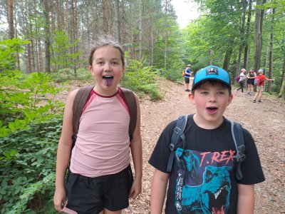 Borůvky už rostou..