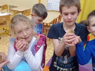 V 1. třídě se po 3 týdnech pozorování konečně vylíhla kuřátka.
