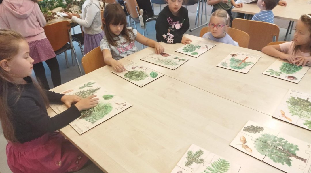 Učíme se poznávat stromy a jejich plody