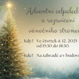 Rozsvícení vánočního stromečku