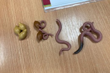 Objevujeme přírodu